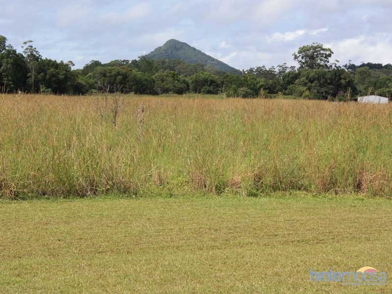 305 Lake MacDonald Drive, Lake Macdonald QLD 4563