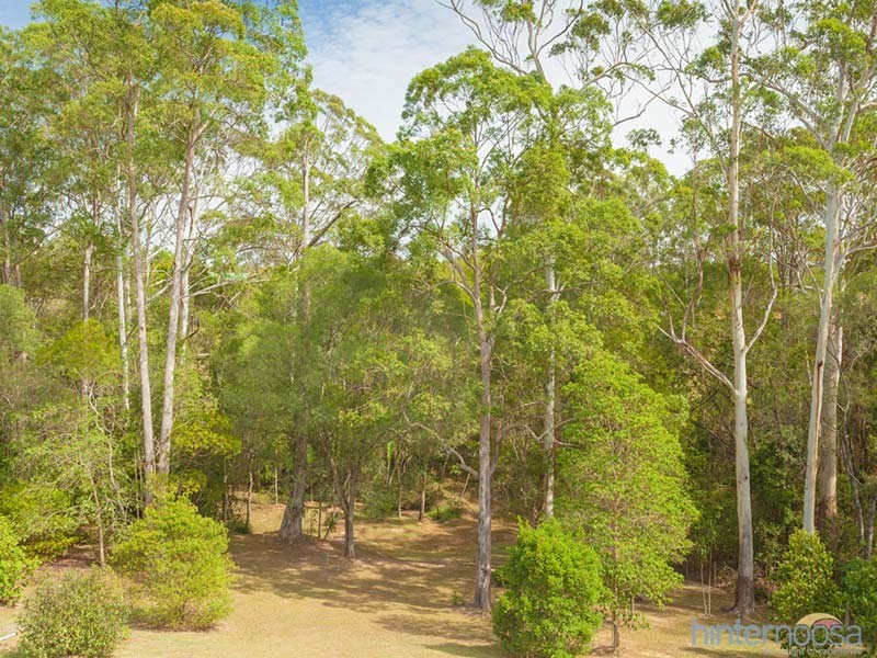 9 Leatherwood Lane, Black Mountain QLD 4563