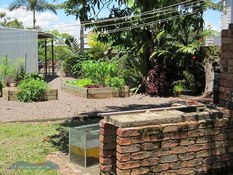 77 Maple St, Cooroy QLD 4563