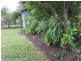 105 Maple St, Cooroy QLD 4563