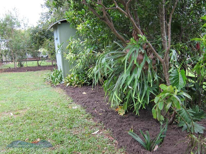 105 Maple St, Cooroy QLD 4563