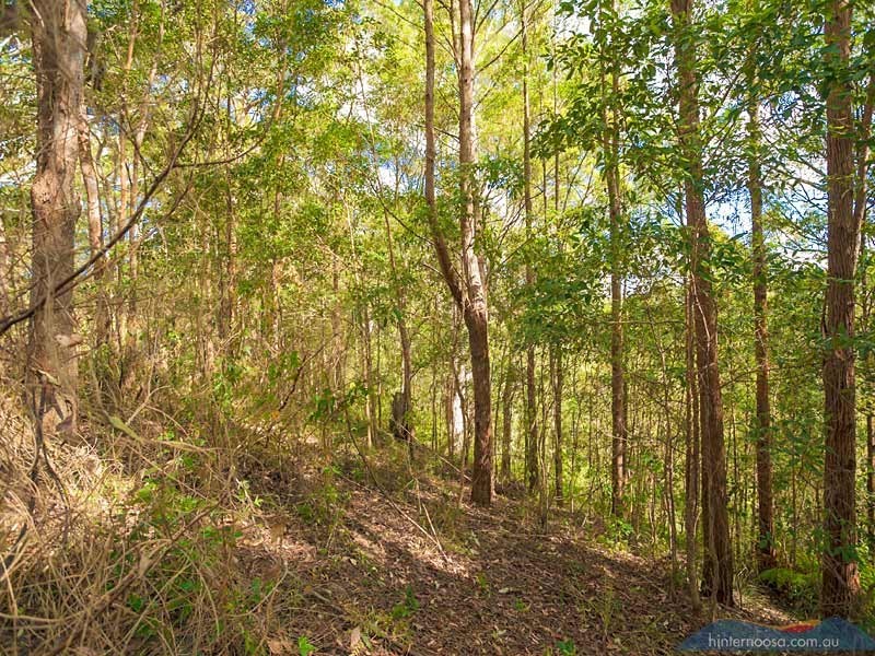 145 Musavale Road, Cooroy QLD 4563