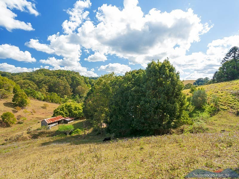 145 Musavale Road, Cooroy QLD 4563