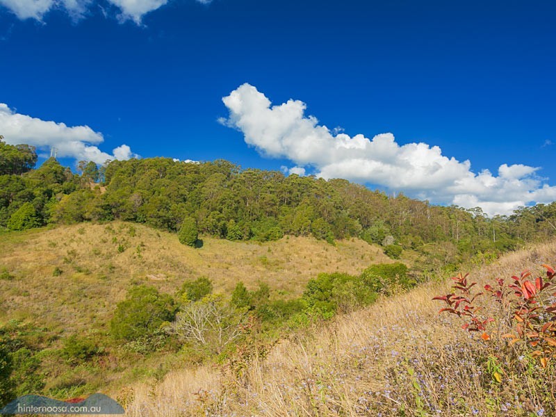 145 Musavale Road, Cooroy QLD 4563