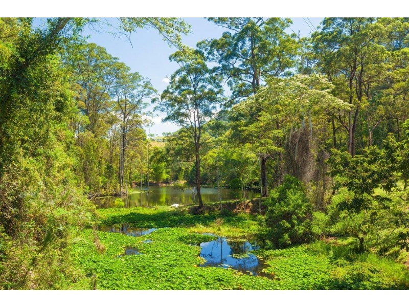 173 Musa Vale Road, Cooroy QLD 4563