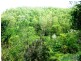210 Musa Vale Rd, Cooroy QLD 4563