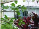 210 Musa Vale Rd, Cooroy QLD 4563