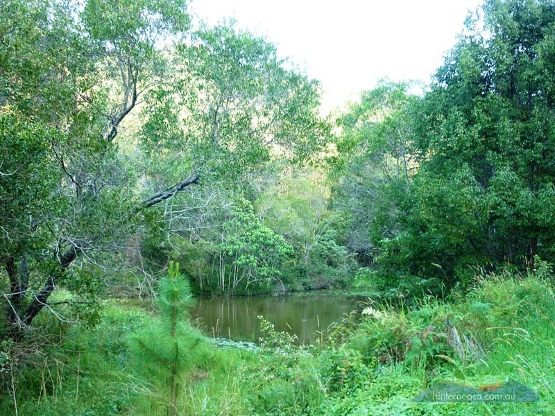 210 Musa Vale Rd, Cooroy QLD 4563