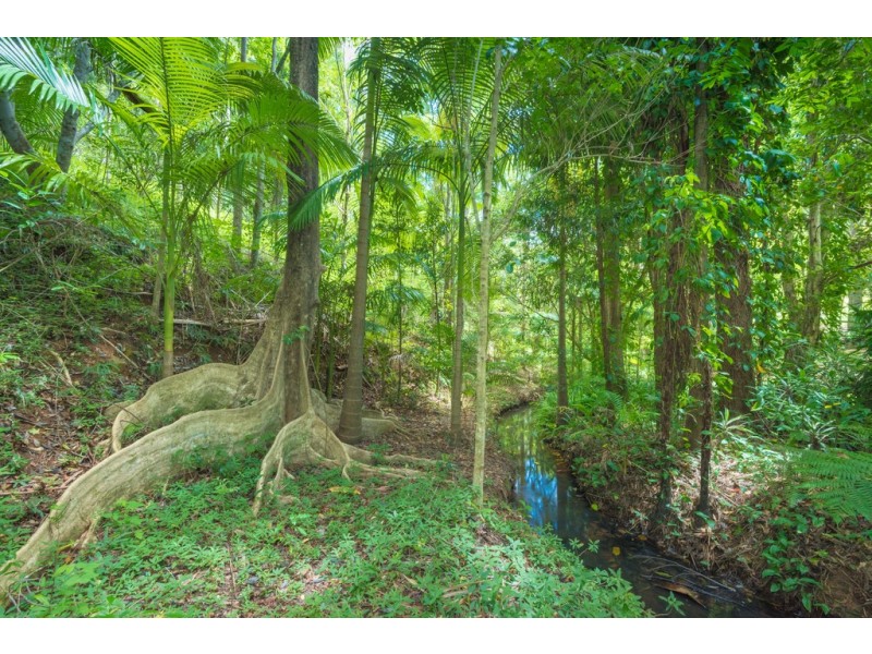 228 Musa Vale Rd, Cooroy QLD 4563