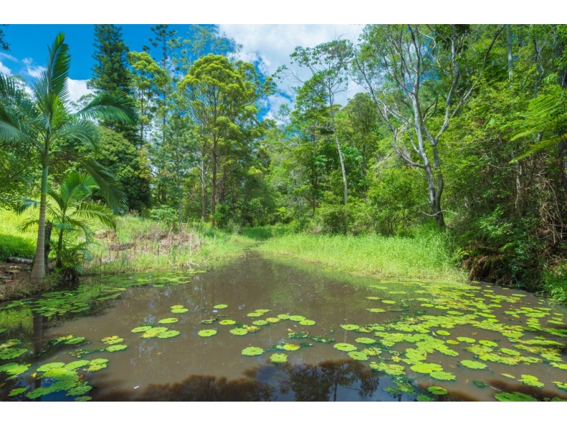228 Musa Vale Rd, Cooroy QLD 4563