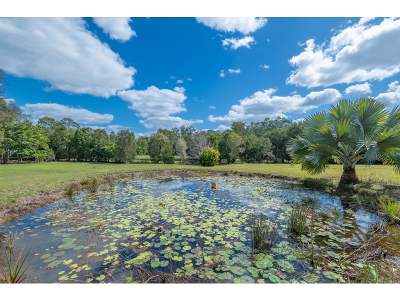 163 Nandroya Road, Cooroy QLD 4563