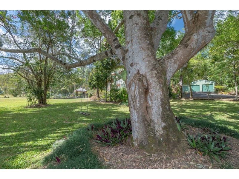 163 Nandroya Road, Cooroy QLD 4563