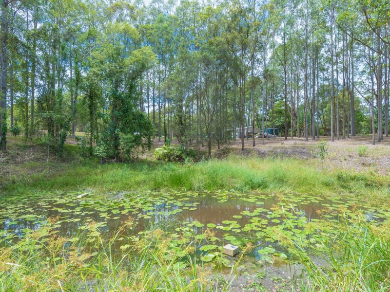 166 Nandroya Road, Cooroy QLD 4563