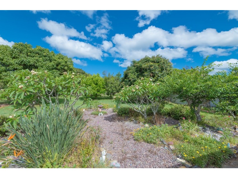 24 Oak Street, Cooroy QLD 4563