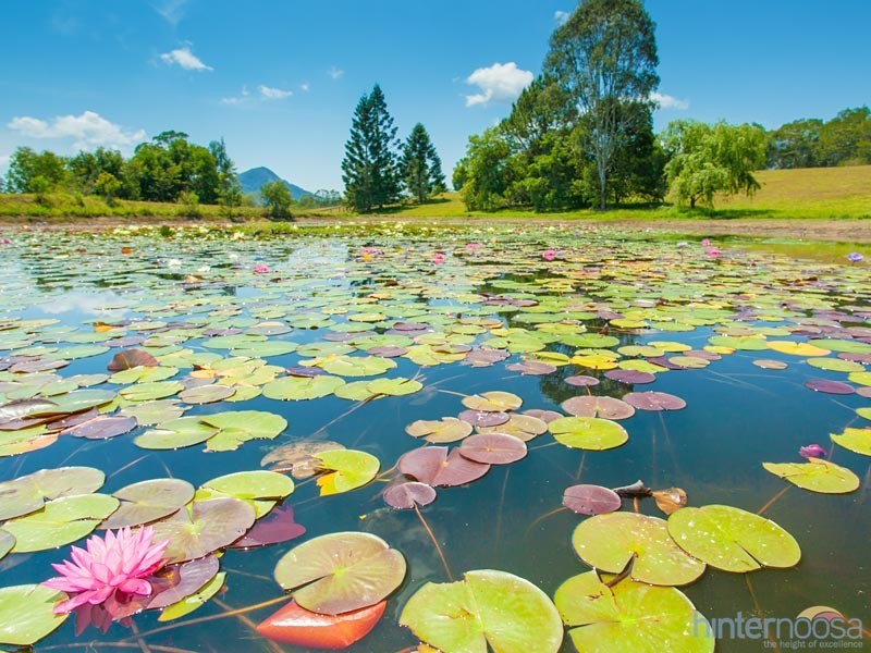 183 Ocean View Road, Cooroy QLD 4563