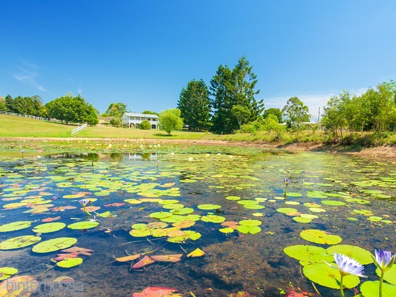 183 Ocean View Road, Cooroy QLD 4563