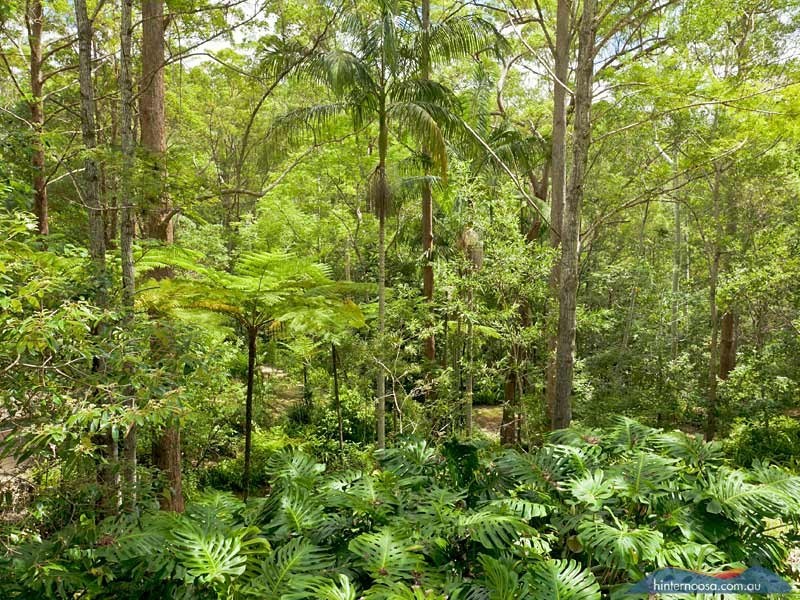 167 Old Ceylon Rd, Cooroy QLD 4563