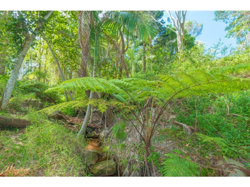 3 Pacific View Drive, Tinbeerwah QLD 4563