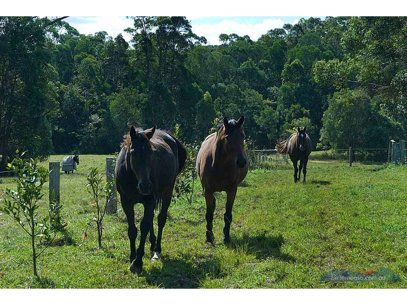 Lot 3, 78 Pearsons Rd, Cooroy QLD 4563