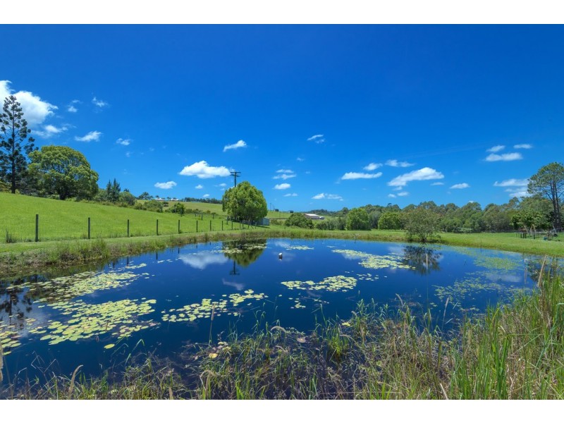 8 Pine Tree Dr, Lake Macdonald QLD 4563