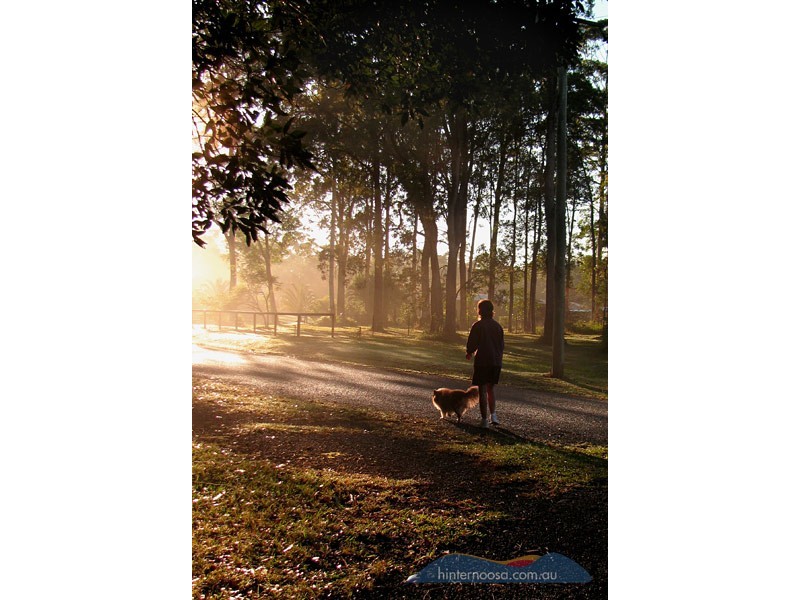 9 Ponderosa Dr, Cooroy QLD 4563