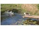 237 Poulsen Rd, Carters Ridge QLD 4563