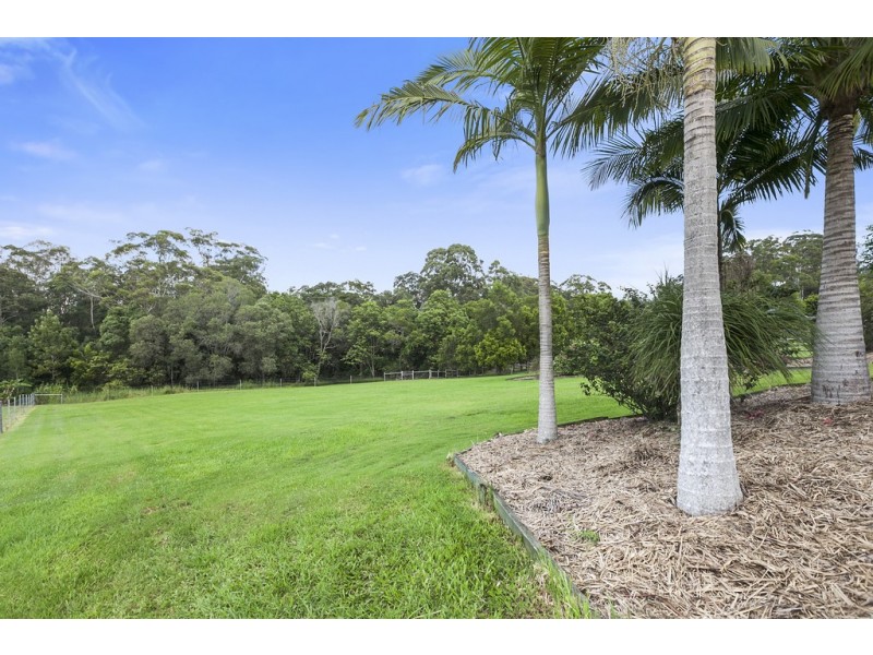 11 Rosewood Lane, Black Mountain QLD 4563