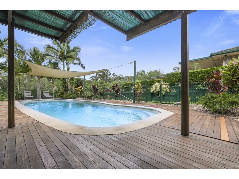 11 Rosewood Lane, Black Mountain QLD 4563