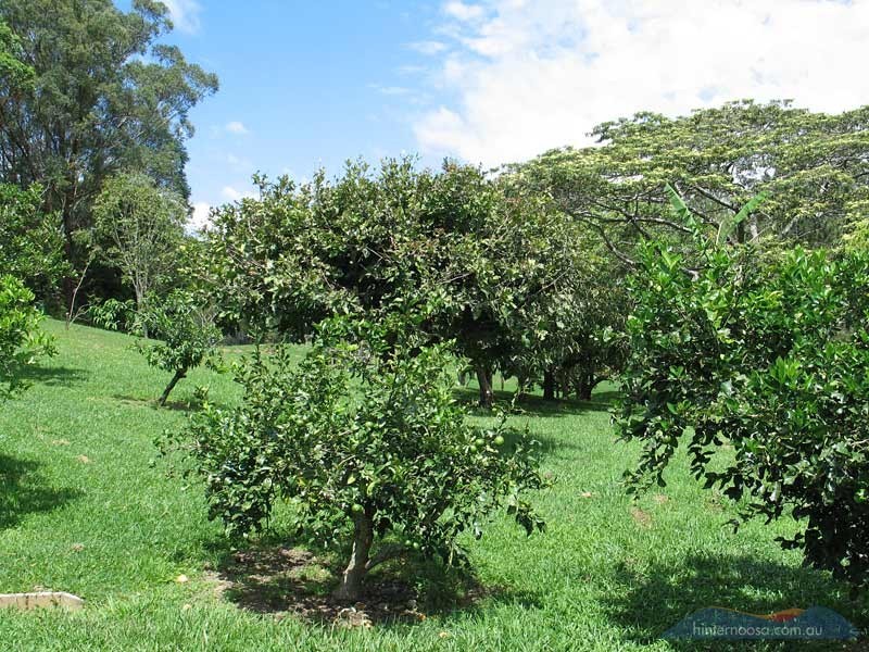 2 Springfield Circle, Cooroy QLD 4563