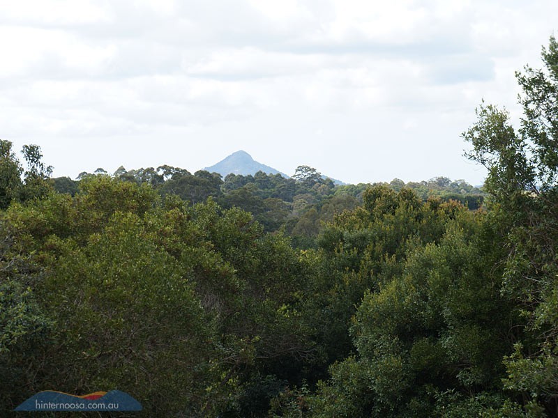 60 Stanfield Lane, Cooroy QLD 4563
