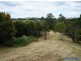 60 Stanfield Lane, Cooroy QLD 4563