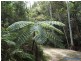 60 Stanfield Lane, Cooroy QLD 4563