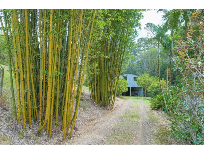 70 Stanfield Lane, Black Mountain QLD 4563