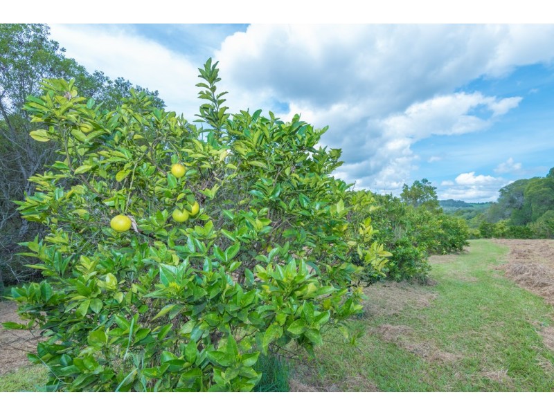 70 Stanfield Lane, Black Mountain QLD 4563