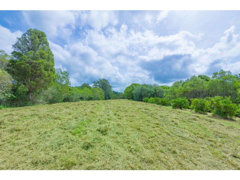 70 Stanfield Lane, Black Mountain QLD 4563