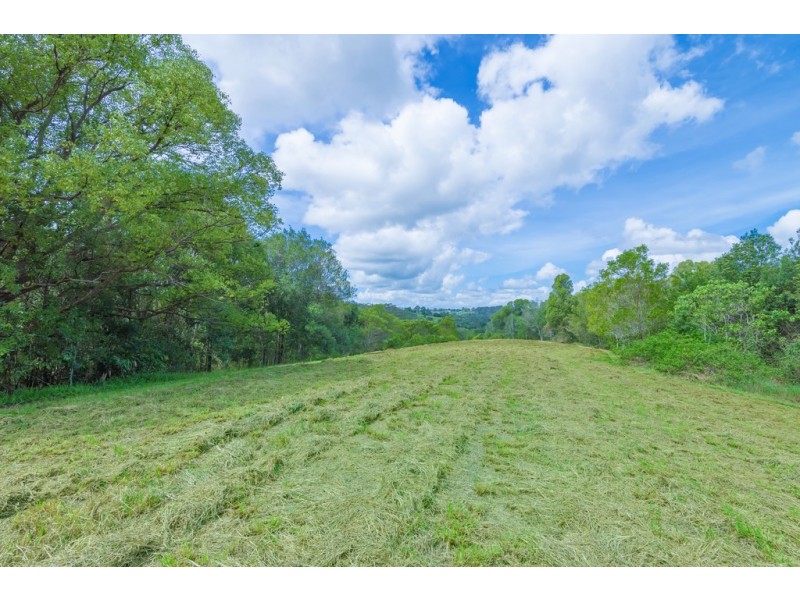 70 Stanfield Lane, Black Mountain QLD 4563