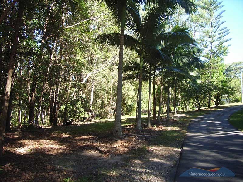 24 Sunrise Road, Tinbeerwah QLD 4563