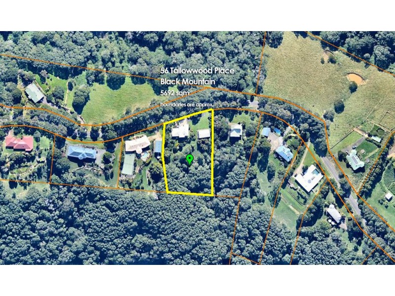 56 Tallowwood Place, Black Mountain QLD 4563