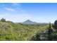 85 Tallowwood Place, Black Mountain QLD 4563