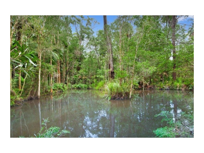 61 Tinbeerwah Rd, Tinbeerwah QLD 4563