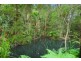 61 Tinbeerwah Rd, Tinbeerwah QLD 4563