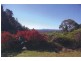 64 Tinbeerwah Rd, Tinbeerwah QLD 4563