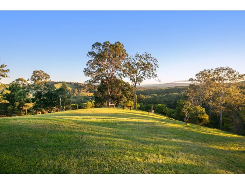 257 Top Forestry Road, Ridgewood QLD 4563
