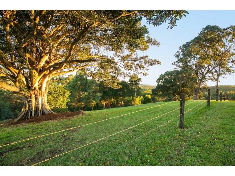 257 Top Forestry Road, Ridgewood QLD 4563