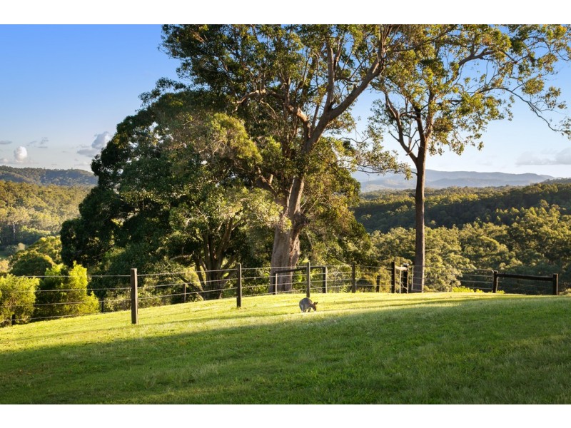 257 Top Forestry Road, Ridgewood QLD 4563