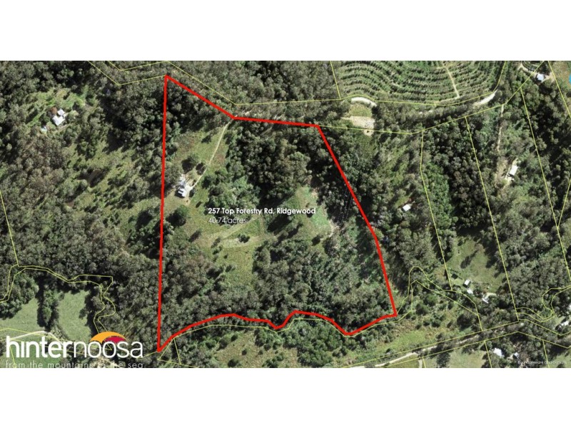 257 Top Forestry Road, Ridgewood QLD 4563