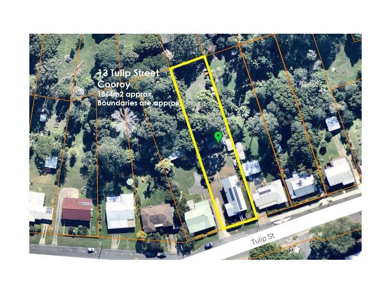 13 Tulip Street, Cooroy QLD 4563