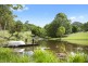 36 Tunba Ct, Cooroy Mountain QLD 4563
