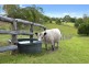 36 Tunba Ct, Cooroy Mountain QLD 4563