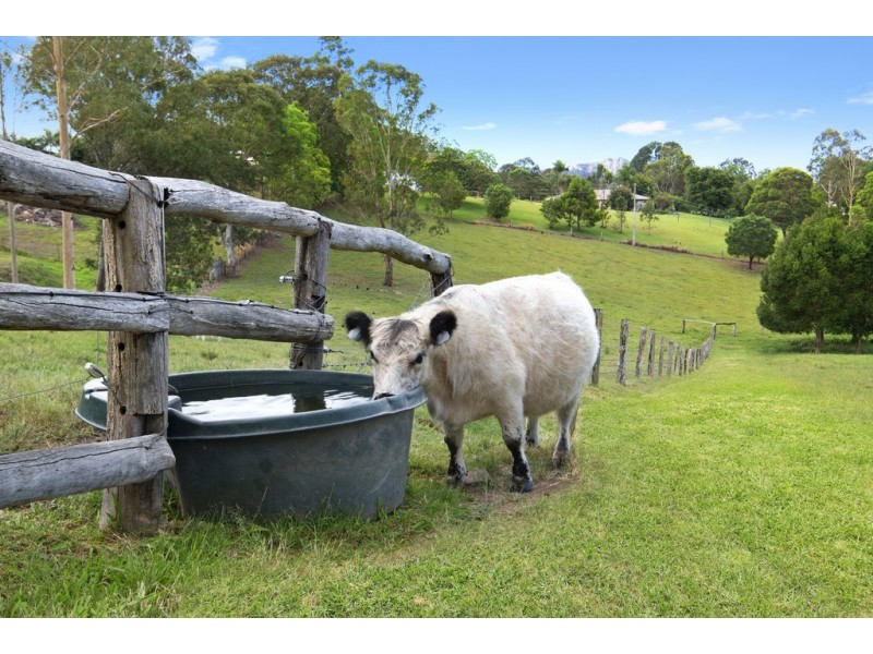 36 Tunba Ct, Cooroy Mountain QLD 4563